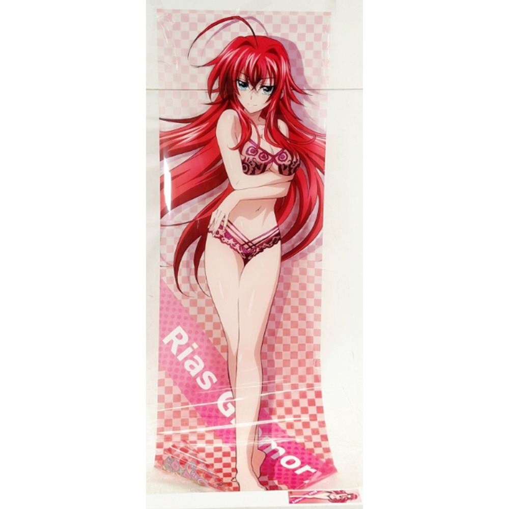 Rias Gremory High School DxD HERO A3 Clear Poster 12.6" X 39" Japan Anime